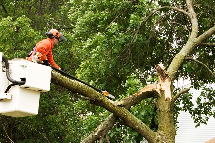 EHAP Electrical Hazards Awareness Program Think Safety Always